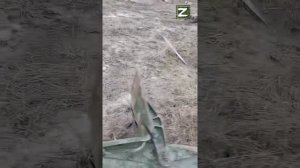 СВО Прислали такое видео  Нужно ваше мнения .