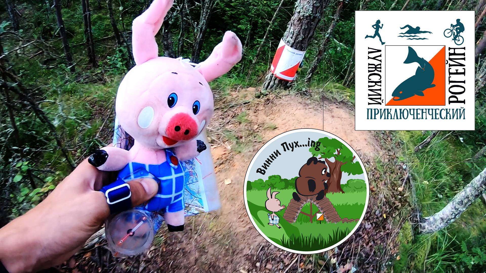 Лужский приключенческий рогейн «Винни Пух...ing»