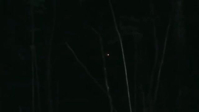 Жуть в лесу смотреть онлайн