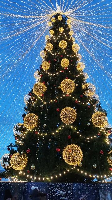 Ёлка в Суздале