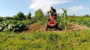 Мотоблок МБ-90 КАДВИ с активной фрезой