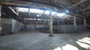 704 Вылечили Доню