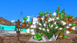 Страшные светофоры 6