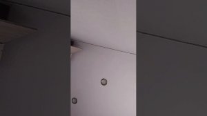 четвёртая попытка у меня всё время что-то такое происходит