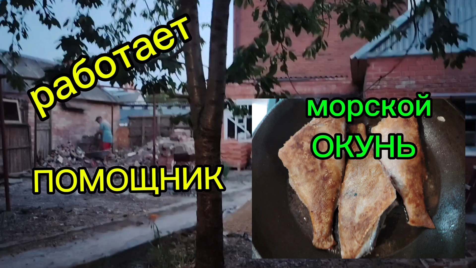 Ейск ! Заказали ПРОЕКТ ! Преображение двора КУПЕЧЕСКОГО дома, работает помощник, наводим порядок ! смотреть онлайн