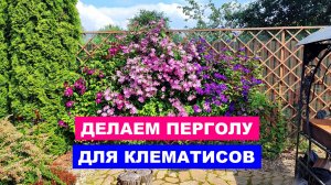 Делаем перголу для клематисов