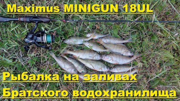 Рыбалка на заливах Братского водохранилища. Maximus MINIGUN 18UL