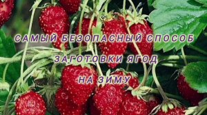 САМЫЙ БЕЗОПАСНЫЙ СПОСОБ ЗАГОТОВКИ ЯГОД НА ЗИМУ