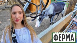 Городская ферма на ВДНХ : Семейный парк интерактивного фермерства и ремёсел