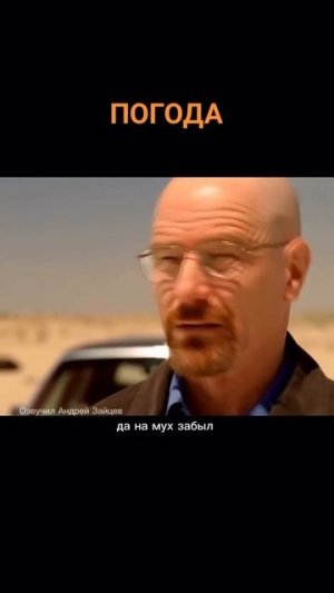 Питерцам всегда не угодить 🤣