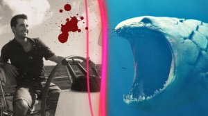 УЖАСНАЯ ВСТРЕЧА с БЛУПОМ