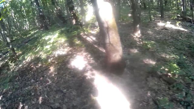 Муравейник гигантский(хоперский заповедник) смотреть онлайн