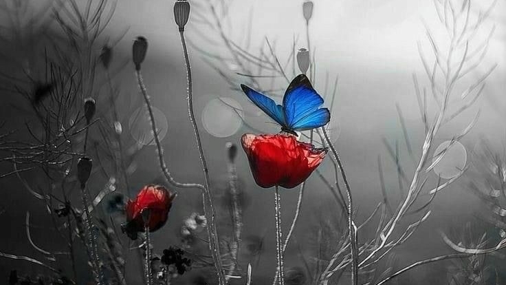 Жизнь настолько одна смотреть онлайн