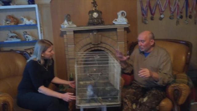 В гостях у голубевода: "Омские белые статные" смотреть онлайн