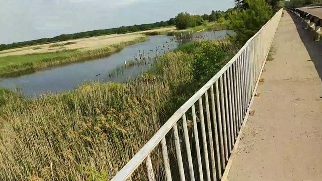 Село Троицкое. Река Савала. смотреть онлайн