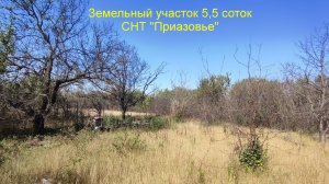 Дачный участок СНТ "Приазовье"