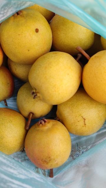 Груша медовая)) смотреть онлайн