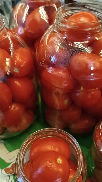 Самый удачный рецепт консервации помидор