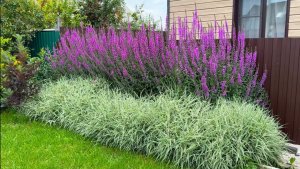 Прогулка по саду! Обзор новых цветников!