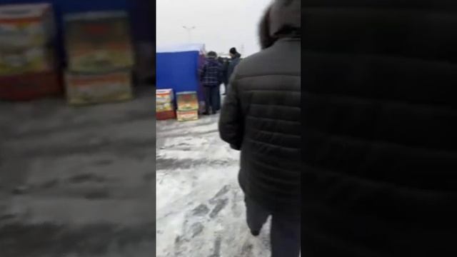 лечение, содержание и разведение голубей. в прямом эфире! смотреть онлайн