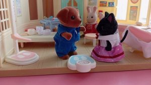 Sylvanian families спецвыпуск -"Придирчивая медсестра в лагере"