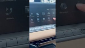 VOYAH FREE владельцы киотского VOYAH FREE стали что то подозревать 😄