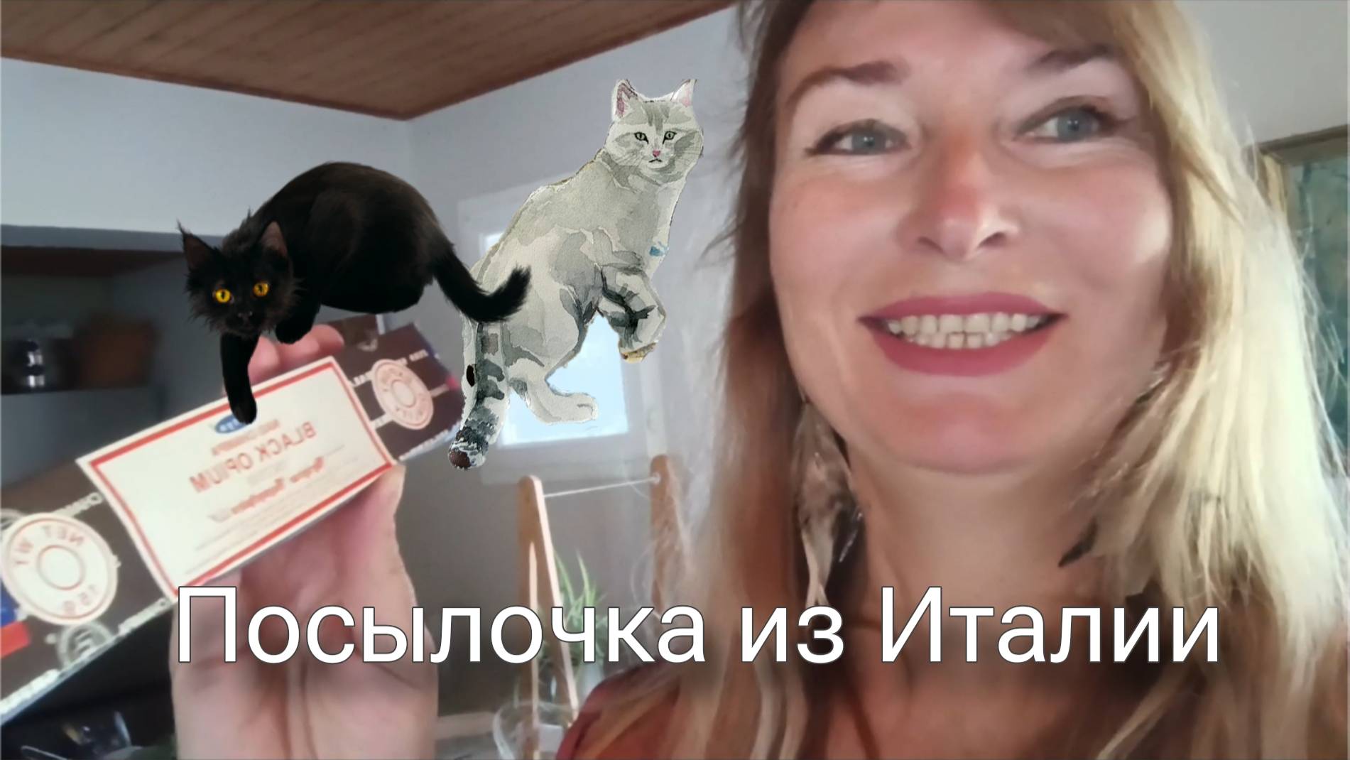 Котики, усталость и подарки от подписчицы. смотреть онлайн