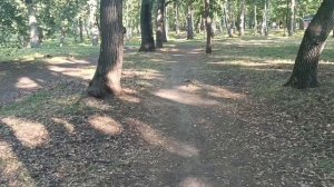 *СЧАСТЬЕ ЛЮБИТ  ТИШИНУ*ЕЛЕНА КАРПУК. Прекрасные слова., хорошая прогулка, может счастье найду.!!!!!