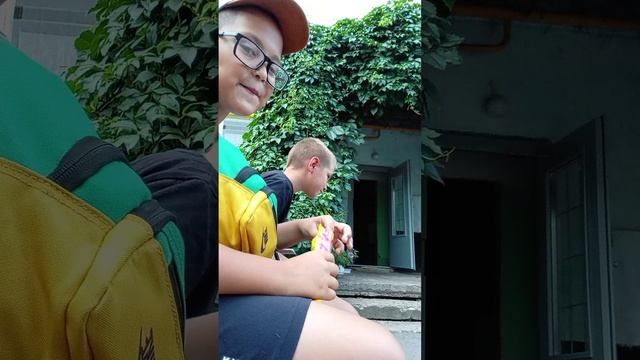 что лучше мороженое с ежевикой или соевое мясо???