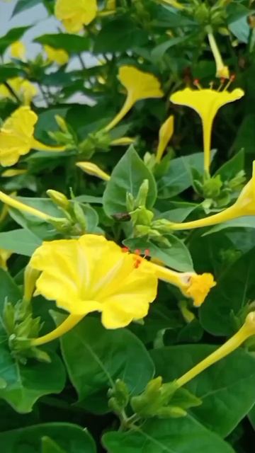 НЕ ВАМ МЕНЯ СУДИТЬ смотреть онлайн