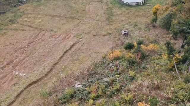 Сочи Роза хутор спуск на водопады смотреть онлайн