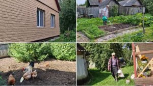 ДОМ МЕНЯЕТСЯ НА ГЛАЗАХ,СКОРО БУДЕТ КРАСОТА. ЛЁШИК НА РЫБАЛКЕ, Я НА ГРЯДКАХ.