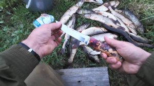 ОТКРЫТИЕ ПО СПИННИНГУ И СРАЗУ УДАЧНО. НАЛОВИЛИ РЫБЫ В РУЧЬЕ. ЧИСТКА РЫБЫ НА ЗАВЯЛКУ.