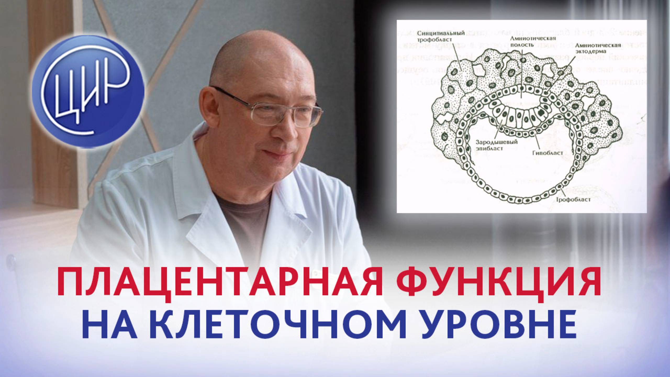 Single cell resolution - разрешение на уровне единственной клетки и плацентарная функция. смотреть онлайн