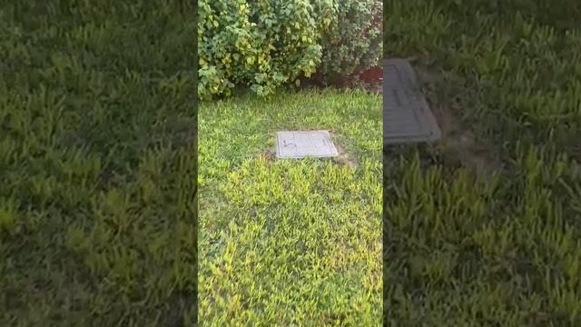 1000171334.mp4 смотреть онлайн