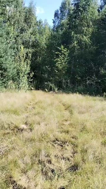 Красота вокруг. 26.07.2025 смотреть онлайн