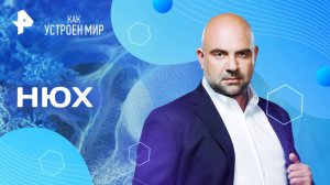 Нюх — Как устроен мир с Тимофеем Баженовым (29.07.2025)