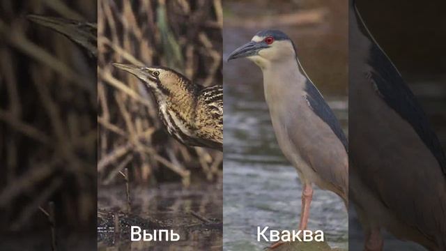 Это интересно-43