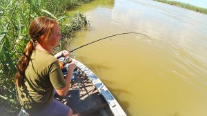 РЫБАЛКА НА СОМА И САЗАНА С ЖЕНОЙ. Ловля сома на лягушку, саранчу и червя. Ловля сазана на жмых