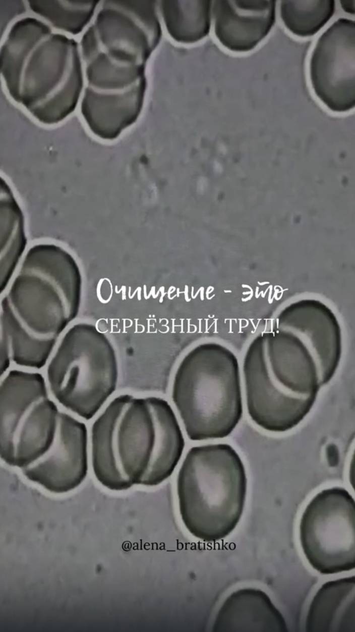 Очищение - это серьезный труд смотреть онлайн