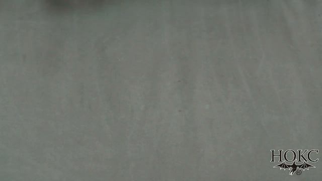 "Взмах-4" + "Рысь-4", короткий обзор смотреть онлайн