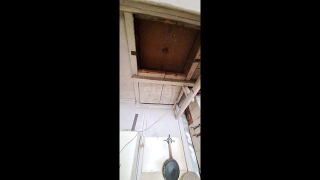 9103429 смотреть онлайн