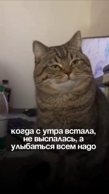 Жизненно смотреть онлайн