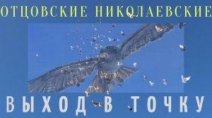 Отцовские.Выход в точку.