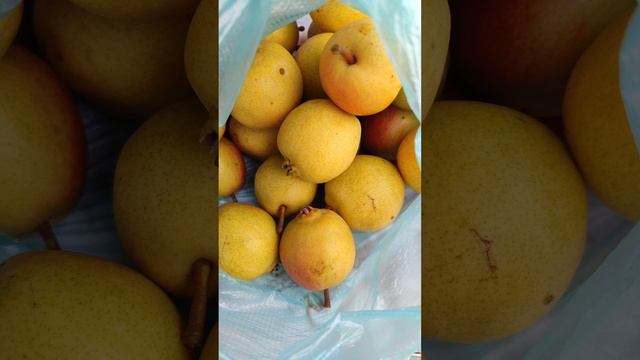 Садово-разговорный влог)) Приключения и новости из курятника. смотреть онлайн