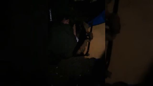 Ночной гость в лачуге(ПРОДОЛЖЕНИЕ) смотреть онлайн