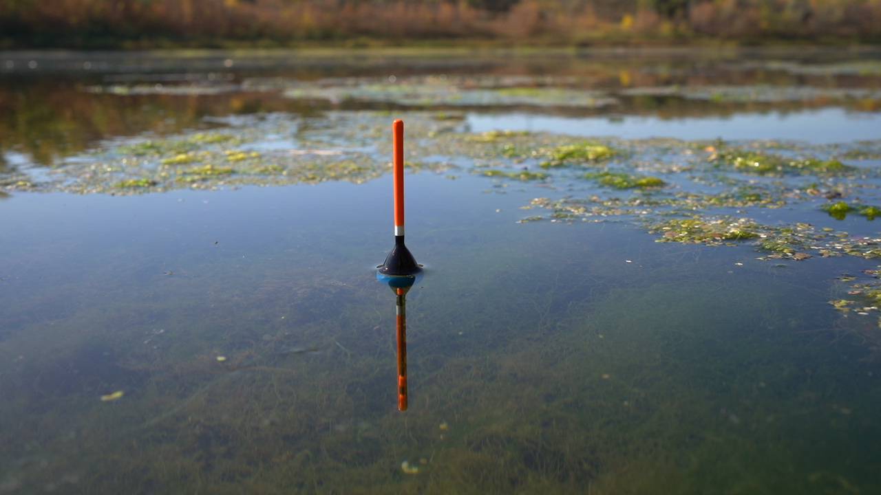 Закинул поплавок за траву и сразу потащило на дно. Рыбалка смотреть онлайн
