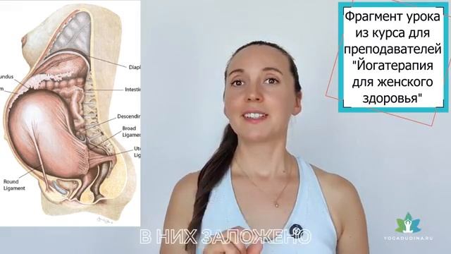 Как СВЯЗКИ органов малого таза поддерживают ЖЕНСКОЕ ЗДОРОВЬЕ Татьяна Дудина смотреть онлайн