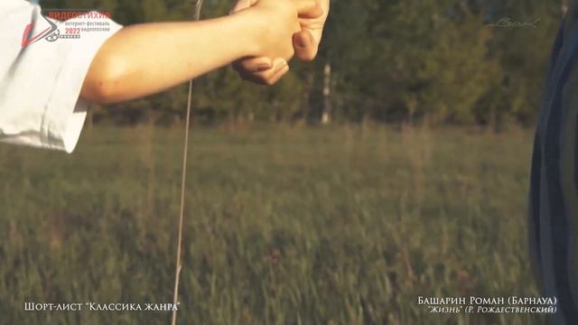 Видеостихия - 2022. Лучшие ролики. Коллекция - 4