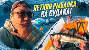 ЛЕТНЯЯ РЫБАЛКА. ЛОВЛЯ РЫБЫ. МОЩНЫЕ ПОКЛЕВКИ СУДАКА ОНЛАЙН.